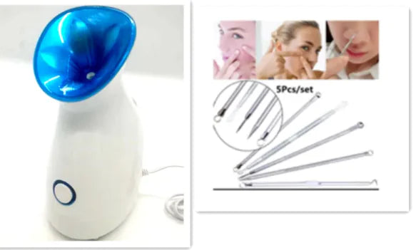 Nano Ionic 3-in-1 Facial Spa Steamer