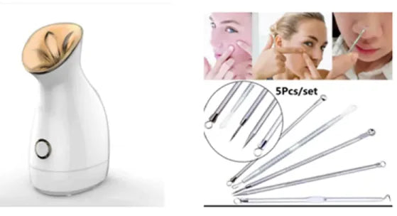 Nano Ionic 3-in-1 Facial Spa Steamer